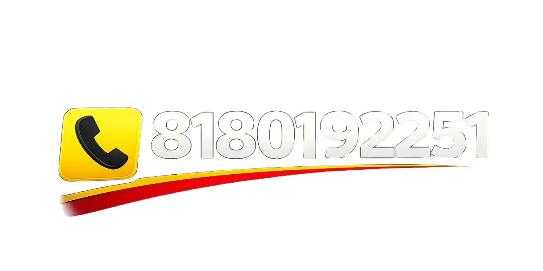 81 8019 2251